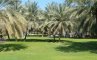 Национальный парк Аль-Курм, Оман, фото №2