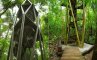 Смотровая башня "Тропический лес" Панама, фото №1