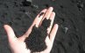 Пляж черного песка Пуналу, фото №3 из 19